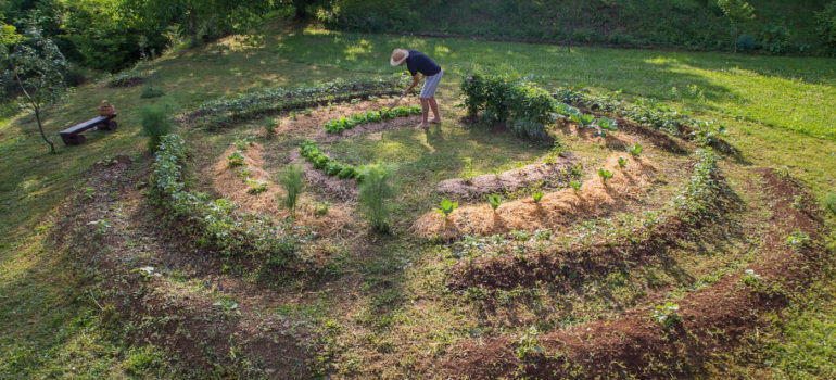 Permaculture 101 - Basic Principles
