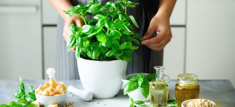 The complete guide to growing herbs from seeds.