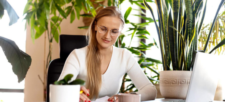 Best Office Plants to Improve Your Workspace