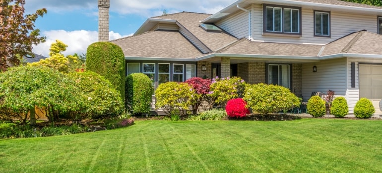 Should you choose between Kikuyu, Couch, Buffalo or Zoysia grass for your lawn?